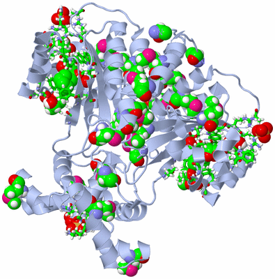 Image Biol. Unit 1 - sites