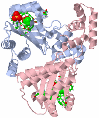 Image Biol. Unit 1 - sites