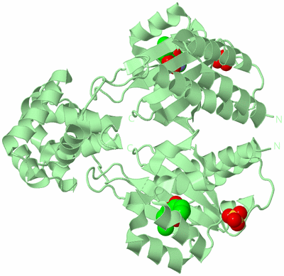 Image Biological Unit 2