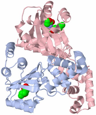 Image Biological Unit 1