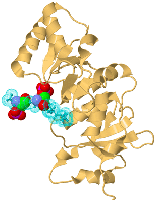 Image Biological Unit 10