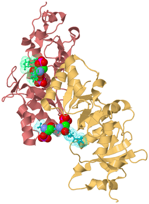 Image Biological Unit 11