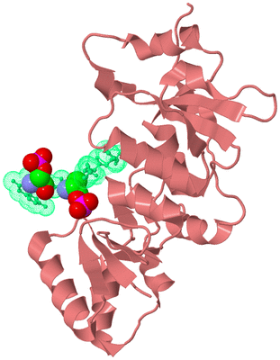 Image Biological Unit 12