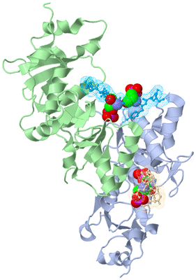 Image Biological Unit 2