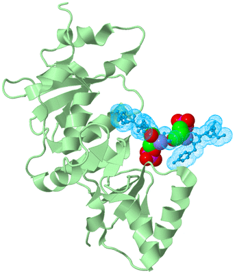 Image Biological Unit 3