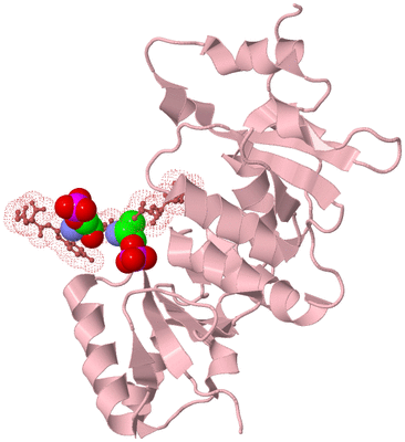 Image Biological Unit 4