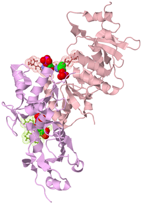 Image Biological Unit 5