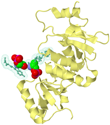 Image Biological Unit 6