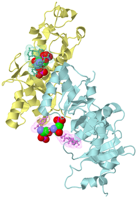 Image Biological Unit 7