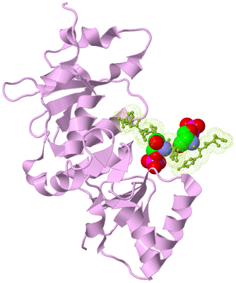 Image Biological Unit 8