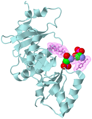 Image Biological Unit 9