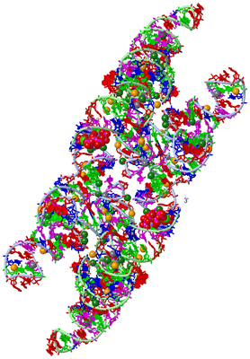 Image Biological Unit 1