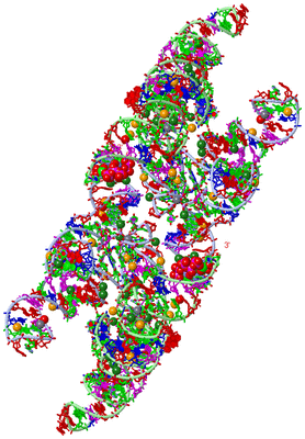 Image Biol. Unit 1 - sites