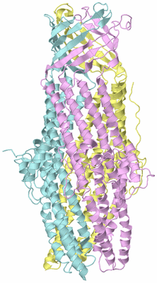 Image Biological Unit 2