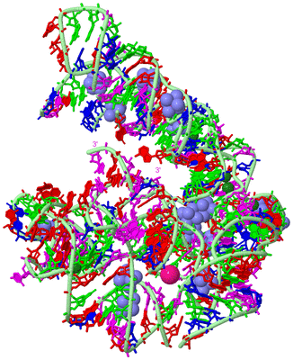 Image Biological Unit 2