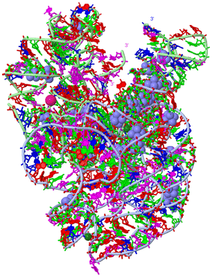 Image Asym. Unit - sites