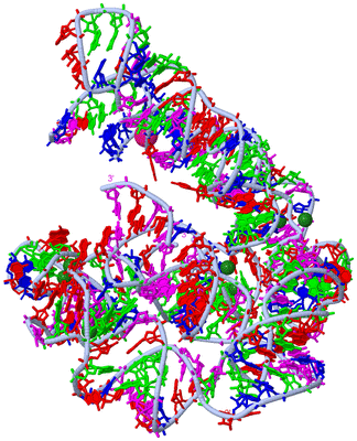 Image Biological Unit 1