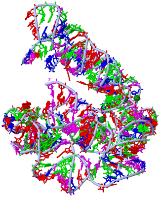 Image Biol. Unit 1 - sites