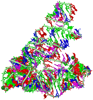 Image Biological Unit 2