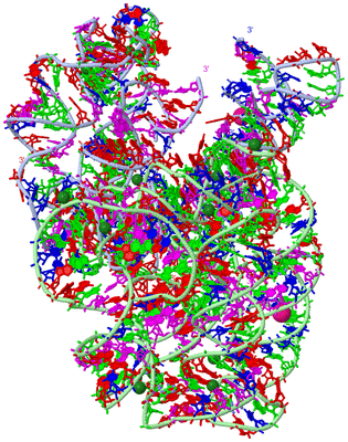 Image Asym. Unit - sites