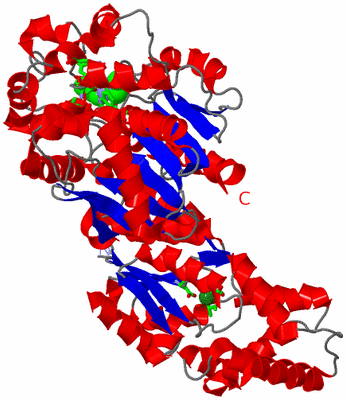 Image Asym. Unit - sites