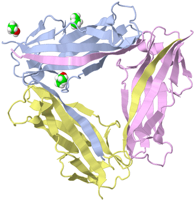 Image Biological Unit 1