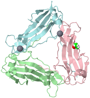 Image Biological Unit 2