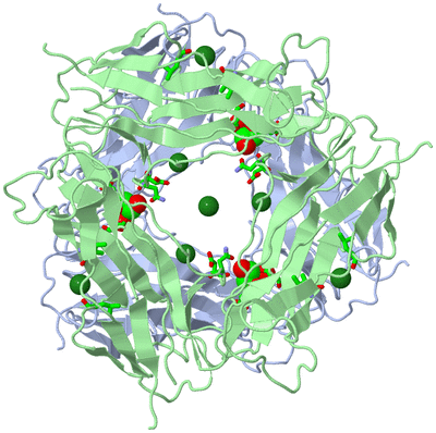 Image Biol. Unit 1 - sites