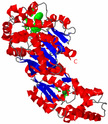 Image Asym. Unit - sites