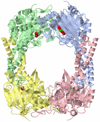 Image Asym./Biol. Unit