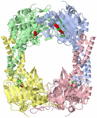 Image Asym./Biol. Unit - sites