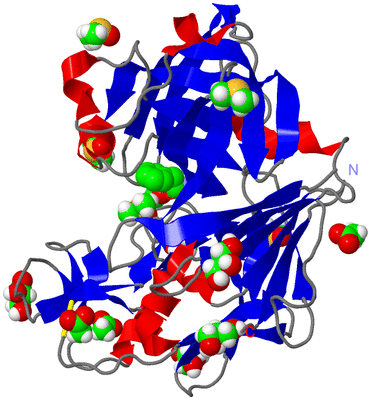 Image Asym./Biol. Unit