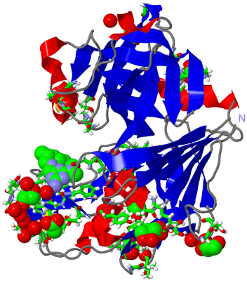 Image Asym./Biol. Unit - sites