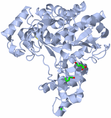 Image Biol. Unit 1 - sites