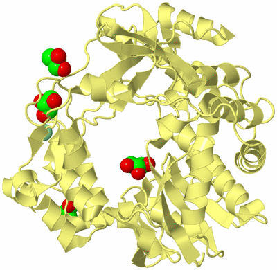 Image Biological Unit 4