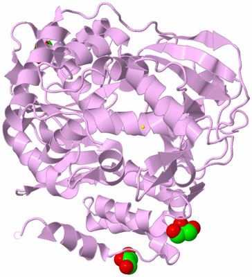 Image Biological Unit 5