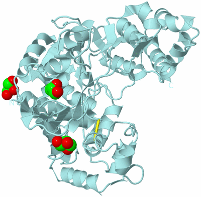 Image Biological Unit 6