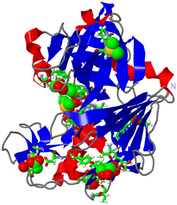 Image Asym./Biol. Unit - sites