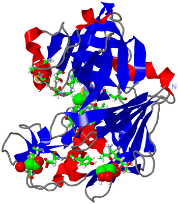 Image Asym./Biol. Unit - sites