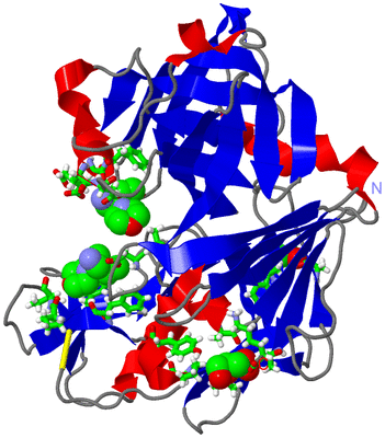 Image Asym./Biol. Unit - sites