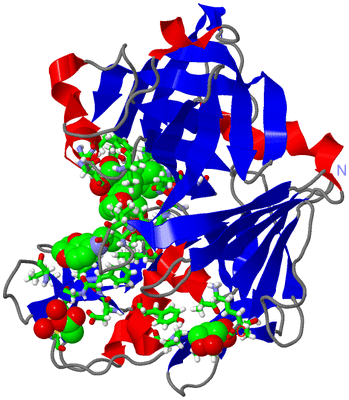 Image Asym./Biol. Unit - sites