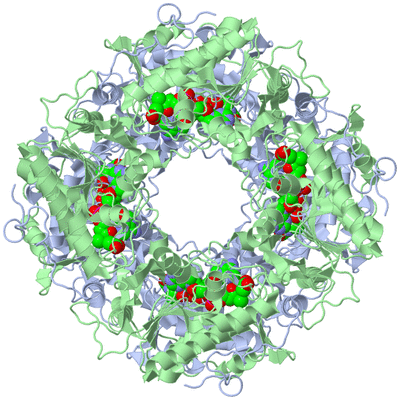 Image Biological Unit 1