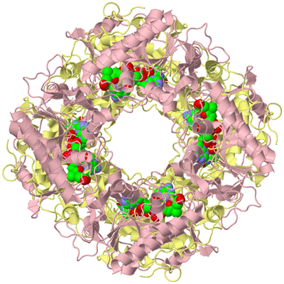 Image Biological Unit 2