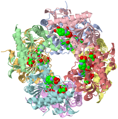 Image Asym./Biol. Unit