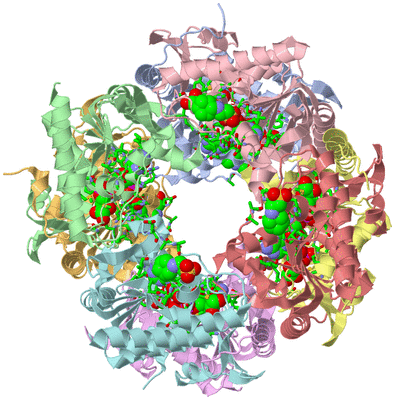 Image Asym./Biol. Unit - sites