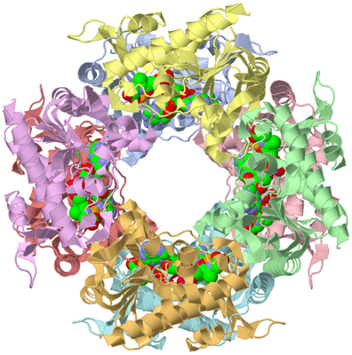 Image Asym./Biol. Unit