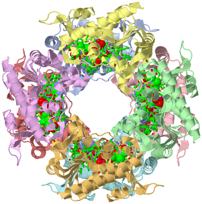 Image Asym./Biol. Unit - sites