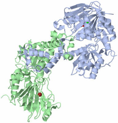 Image Asym./Biol. Unit