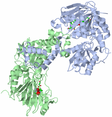 Image Asym./Biol. Unit - sites