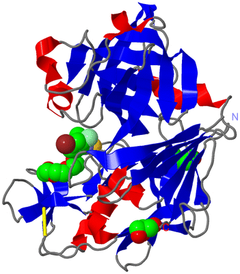 Image Asym./Biol. Unit